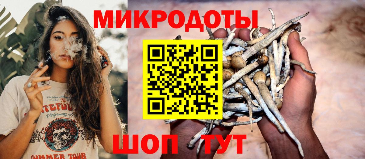 Галлюциногенные грибы Psilocybe  Вход с VPN  Хасавюрт 
